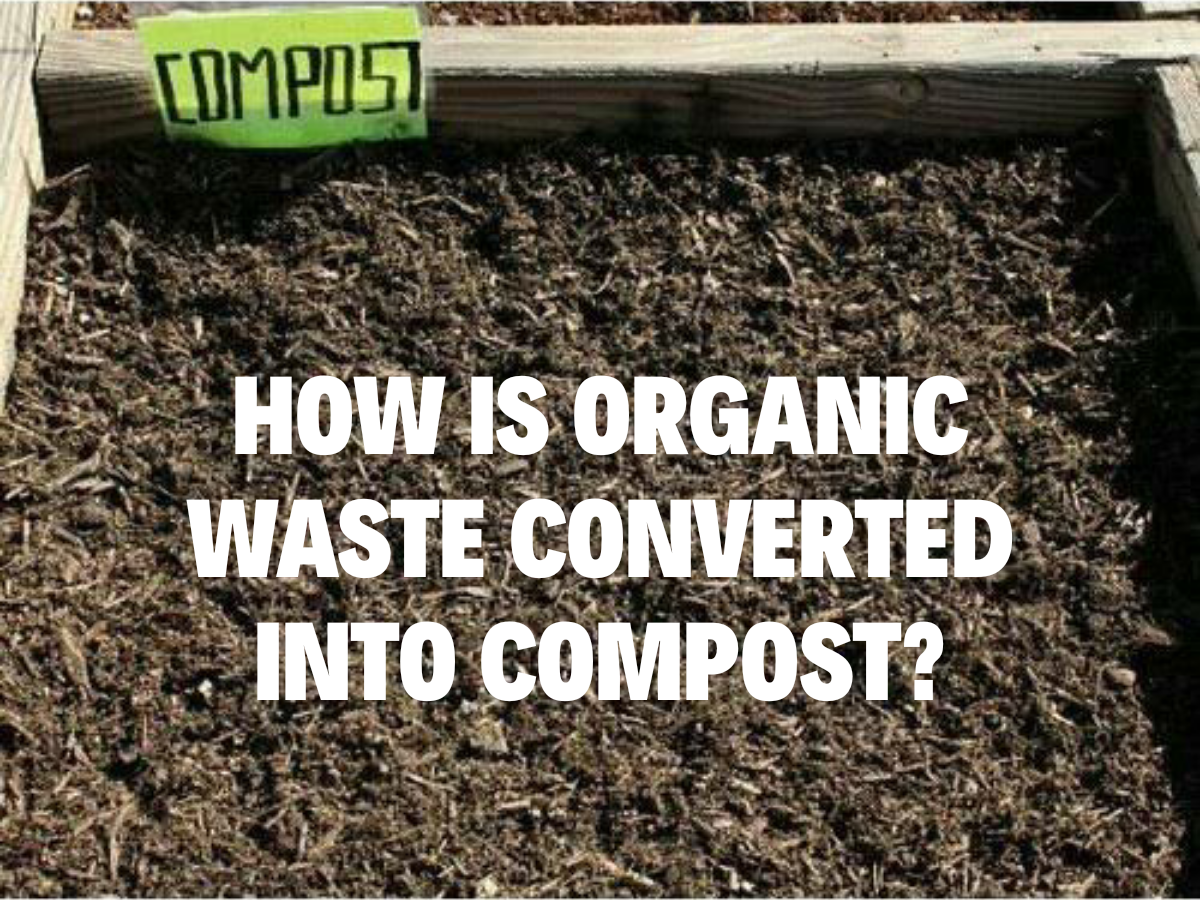 How Organic Waste Converted Into Compost - ECEPL