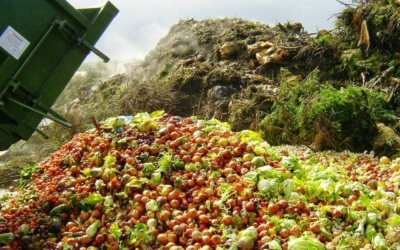 Global Perspectives on Organic Waste Management