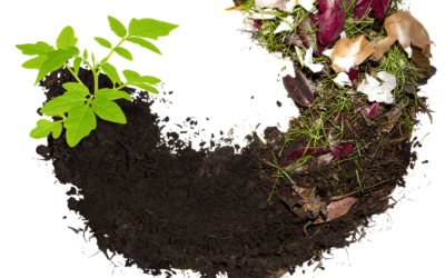 Creating Sustainable Landscapes: The Long-Term Benefits of Composting for Large Societies